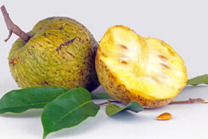 Exploring The Unique Flavor And Health Benefits Of Annona Montana: The Hidden Treasure Of Tropical Fruits.