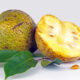 Exploring The Unique Flavor And Health Benefits Of Annona Montana: The Hidden Treasure Of Tropical Fruits.