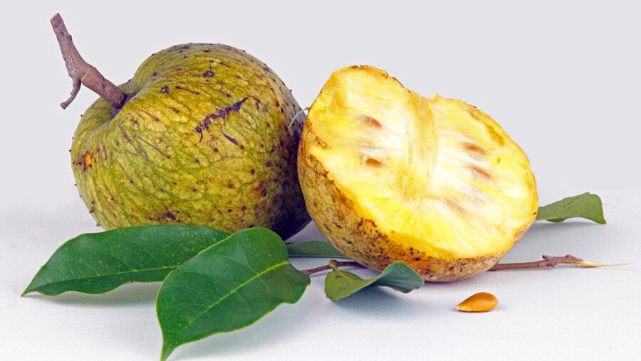 Exploring The Unique Flavor And Health Benefits Of Annona Montana: The Hidden Treasure Of Tropical Fruits.