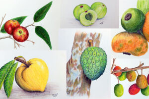 Tropical Treasures: An Introduction to the Vibrant World of Exotic Fruits.